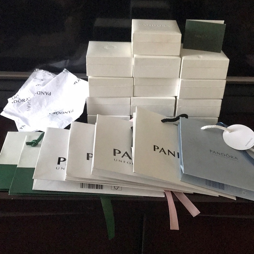 Pandora accessories bundle